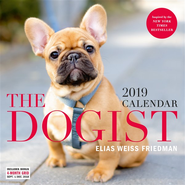 The Dogist Wall Calendar 2019