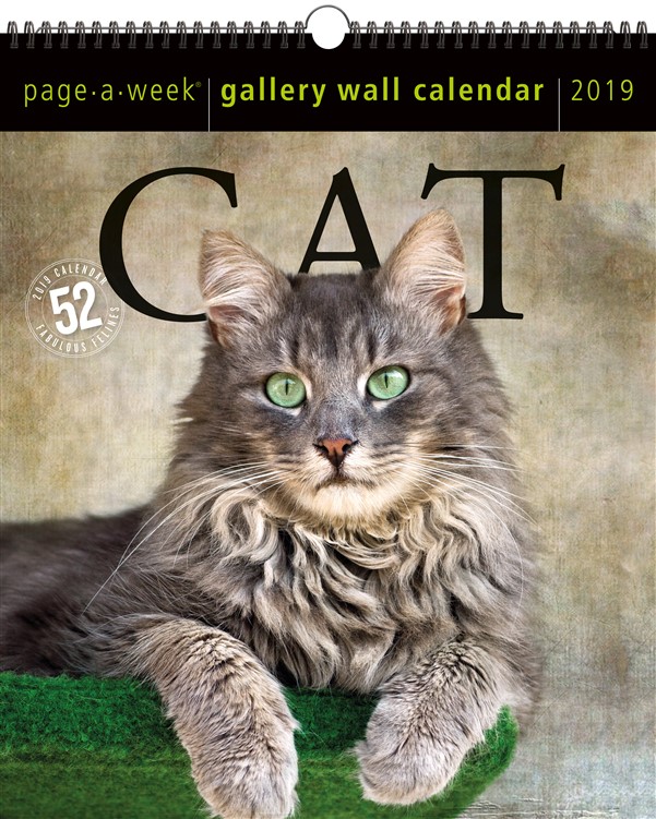 Cat Page-A-Week Gallery Wall Calendar 2019