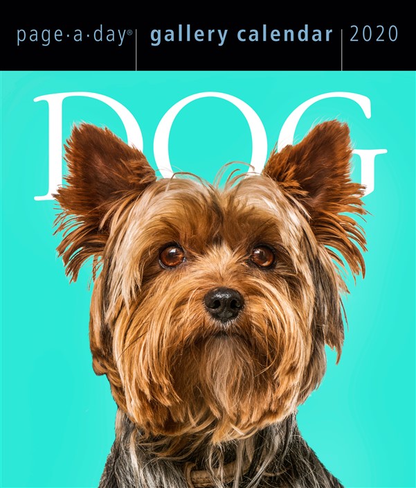 Dog Page-A-Day Gallery Calendar 2020