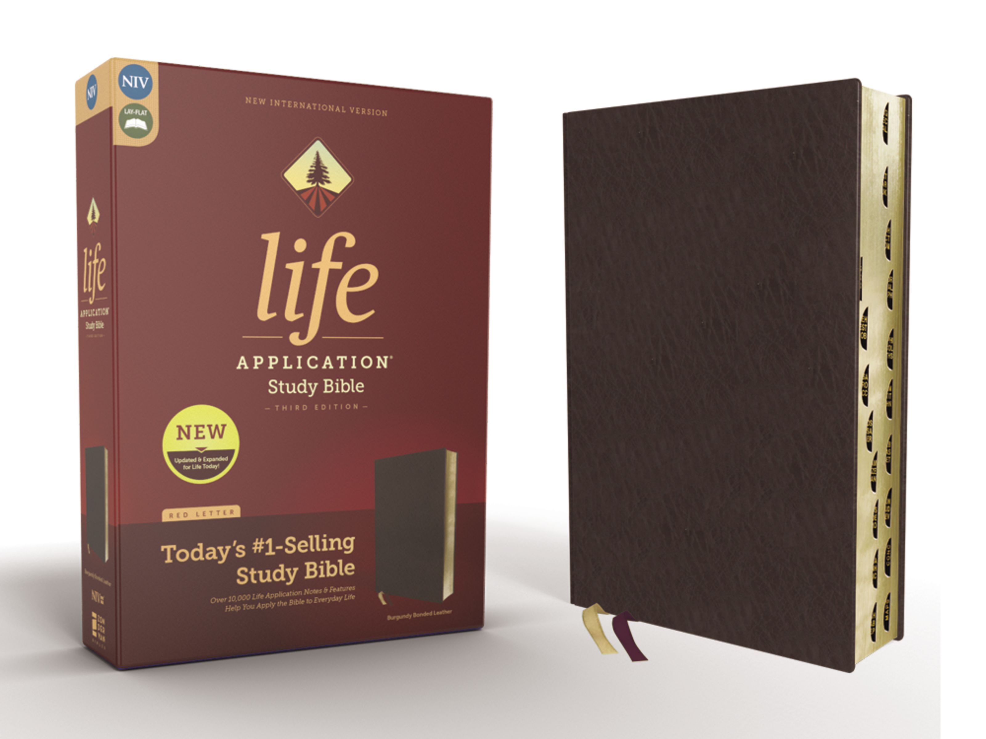 NIV, Life Application Study Bible, Third Edition, Bonded Leather, Burgundy, Red Letter, Thumb Indexed