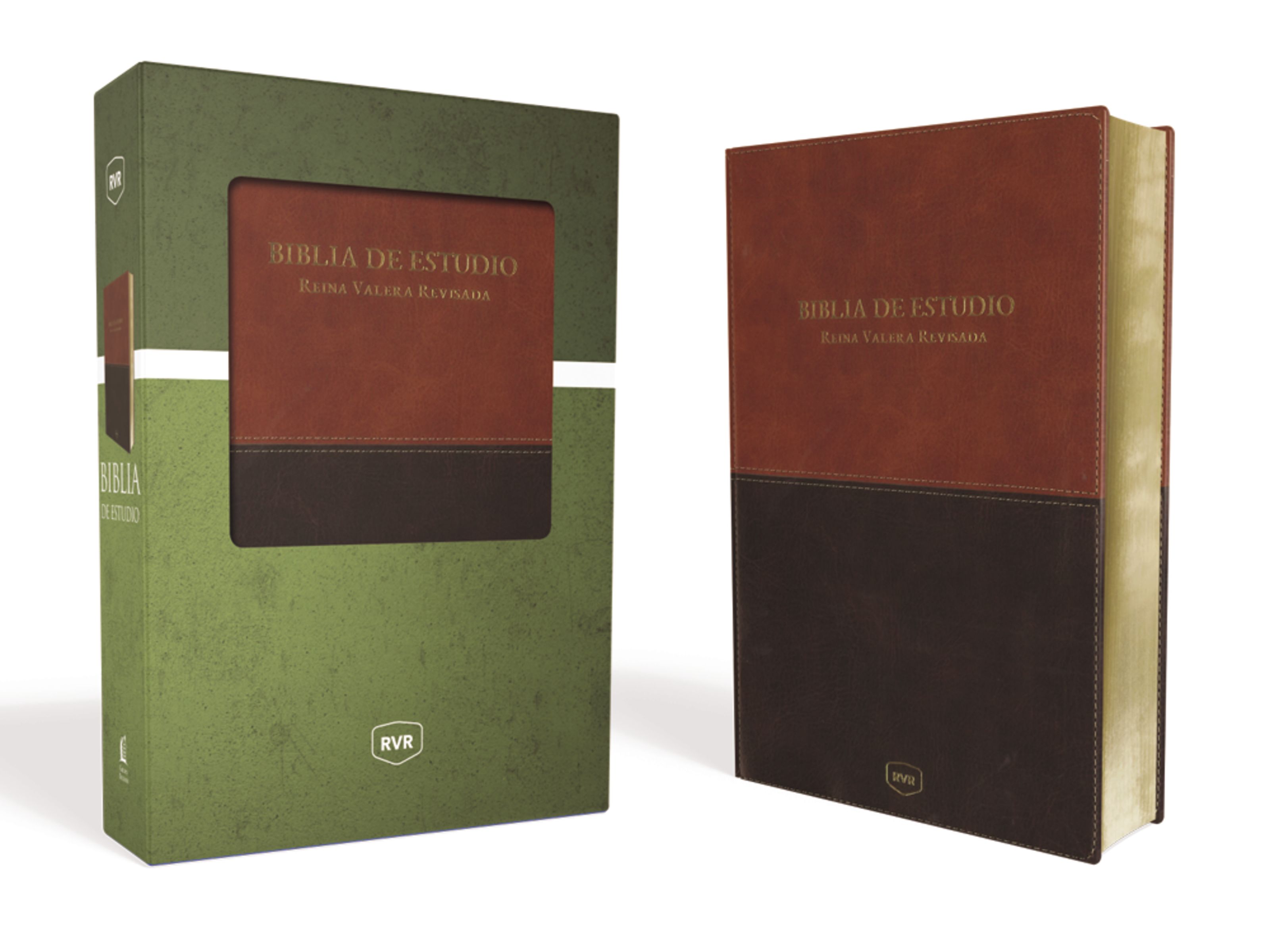 Santa Biblia de Estudio Reina Valera Revisada RVR, Leathersoft, Café Contemporáneo