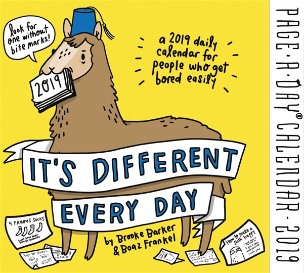 It's Different Every Day Page-A-Day Calendar 2019