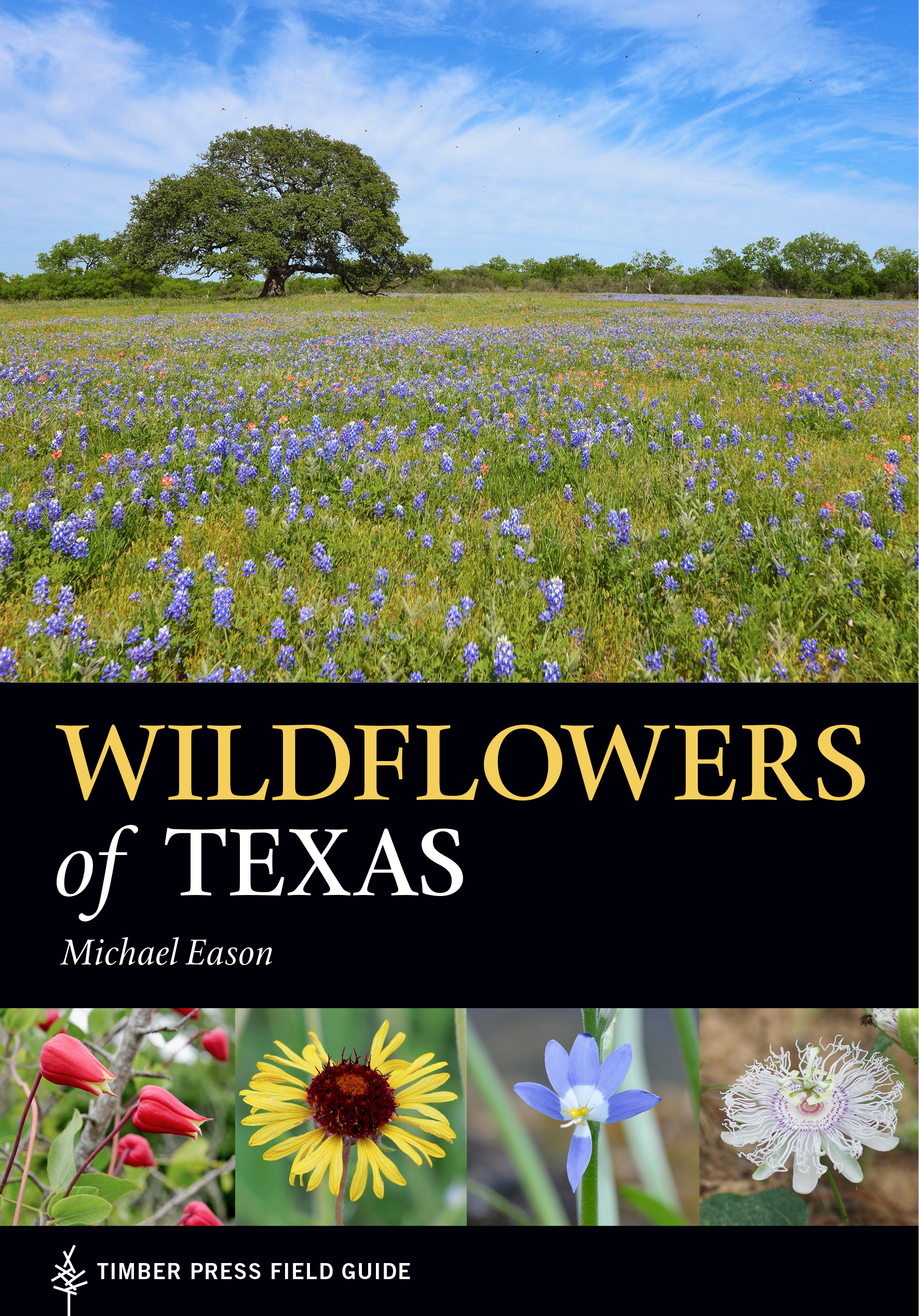 Wildflowers of Texas