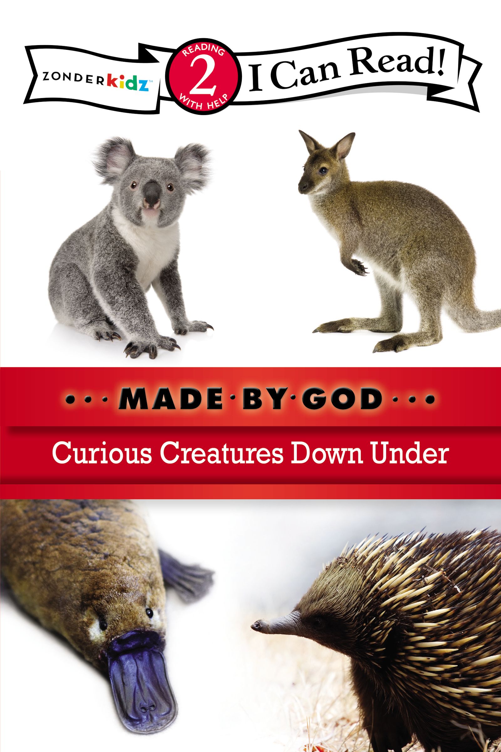 Curious Creatures Down Under