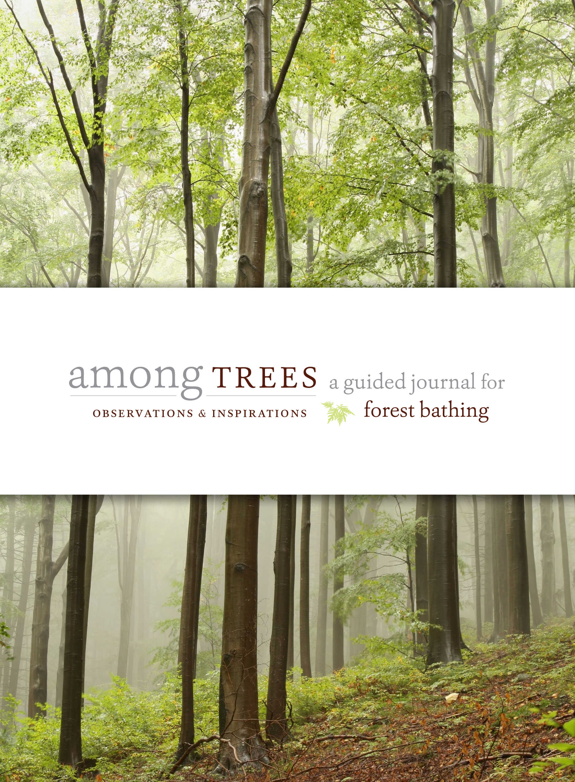 Among Trees